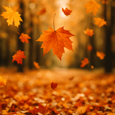 consejos-naturales-cambio-estacion-otoño